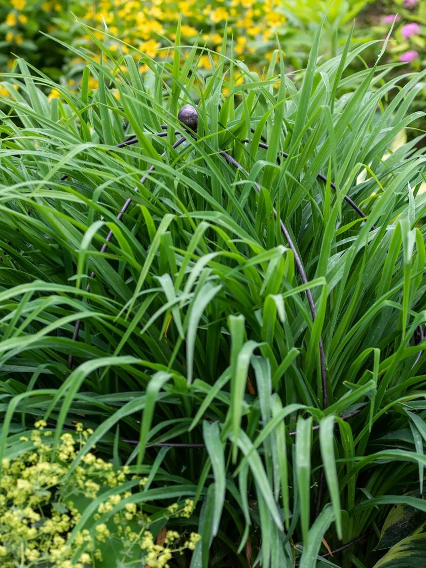 Jardin Bird Cage Support, 26" - Image 3