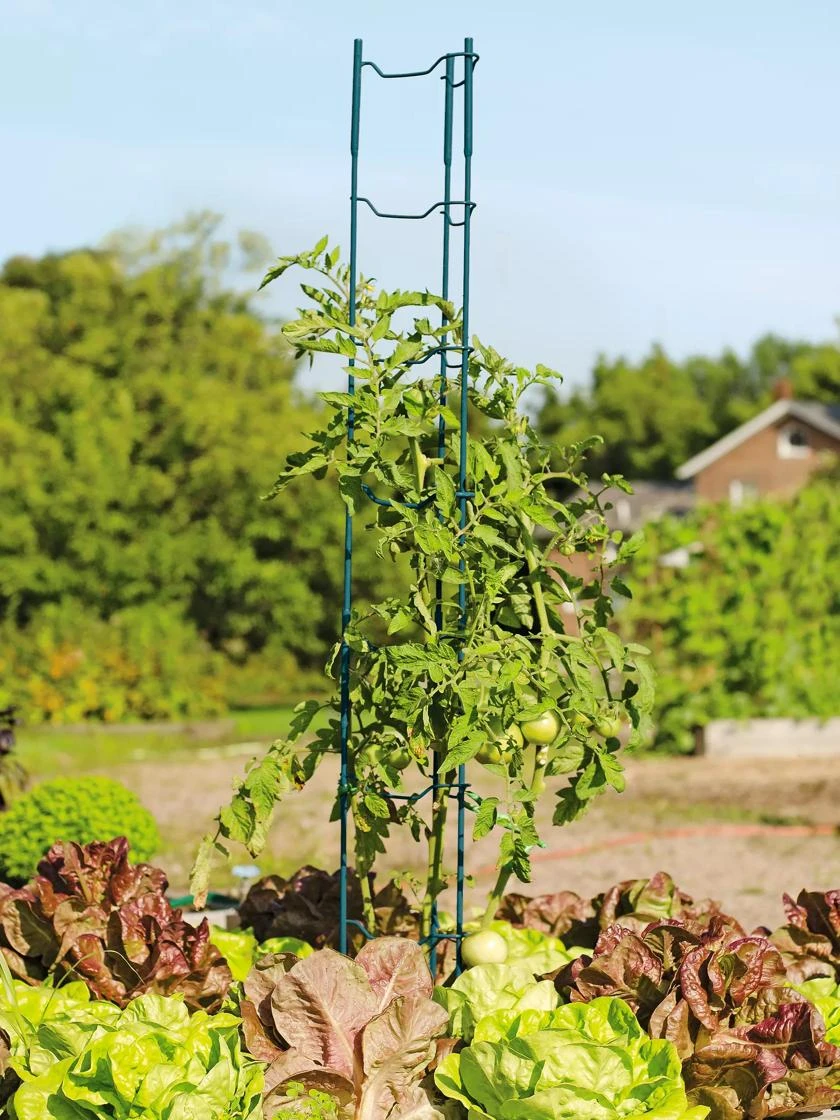 Stacking Tomato Ladders, Set Of 6 - Image 3
