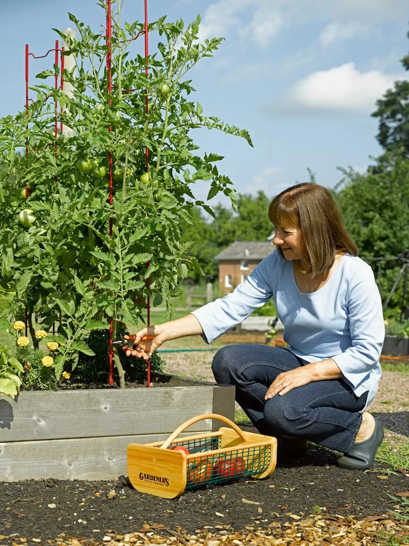 Stacking Tomato Ladders, Set Of 6 - Image 2