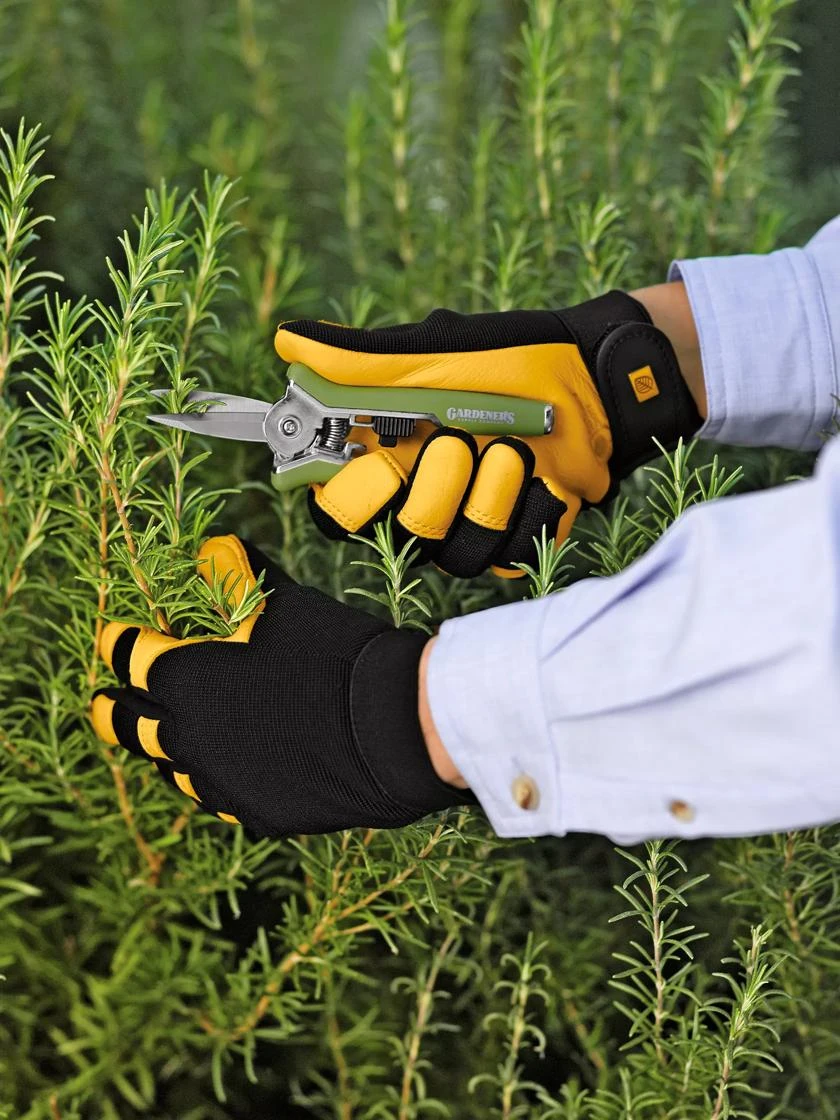 Women's Gold Leaf Soft Touch™ Gloves