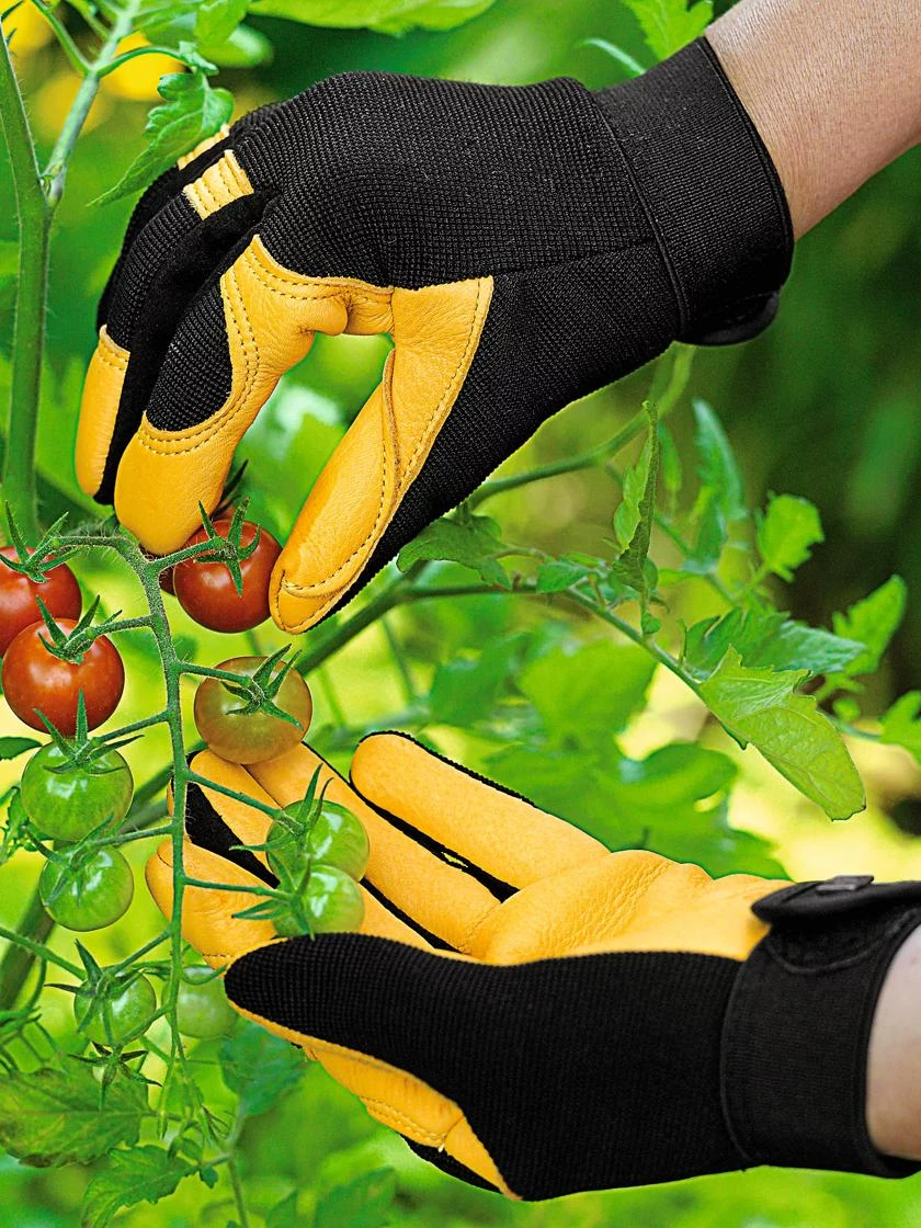 Women's Gold Leaf Soft Touch™ Gloves - Image 2