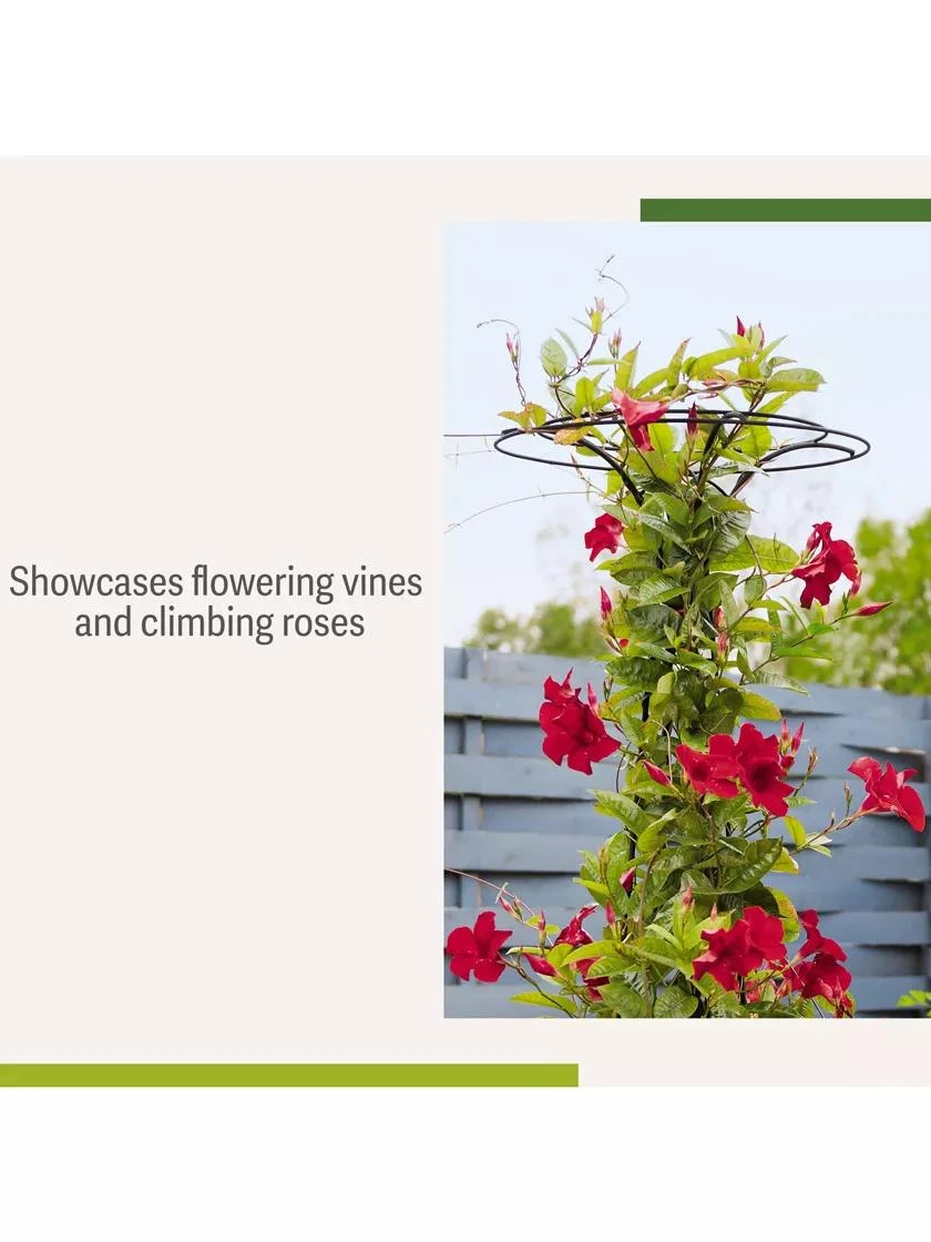 Essex Tuteur, 63" - Image 5