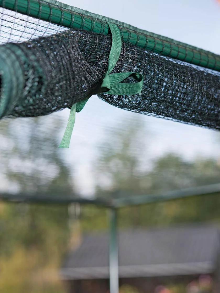 Pest-Free Garden - Image 4