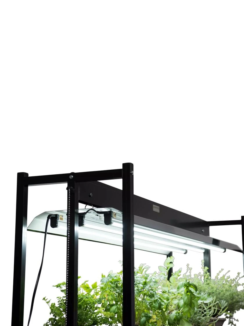 LED SunLite® High Intensity Fixture - Image 2