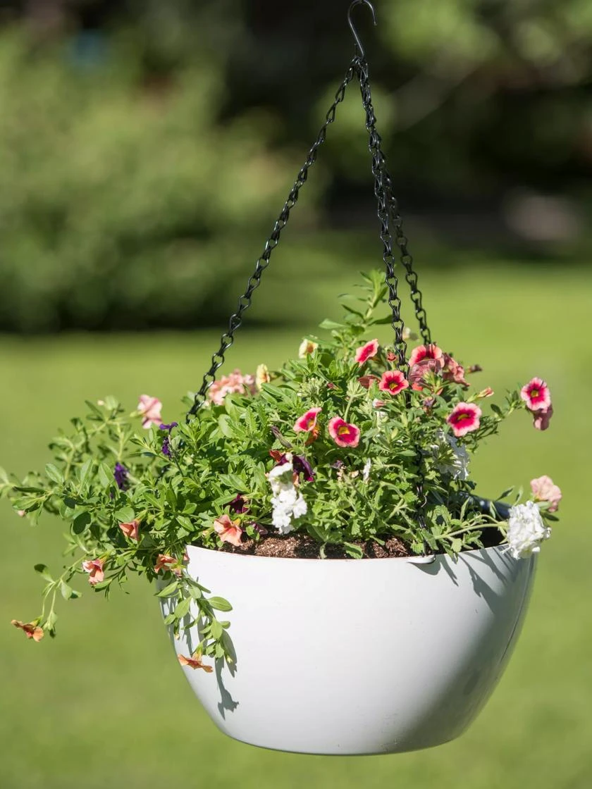 Viva Self-Watering Hanging Basket, 14" Diameter - Image 3