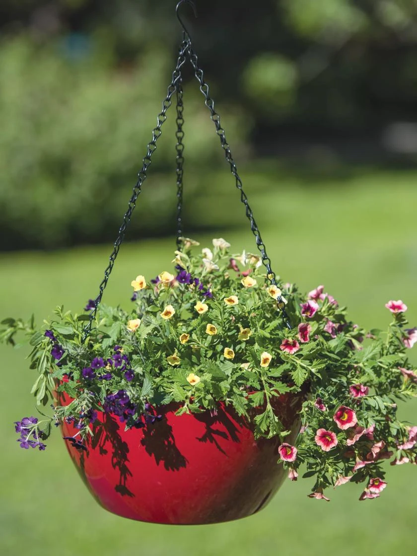 Viva Self-Watering Hanging Basket, 14" Diameter - Image 2
