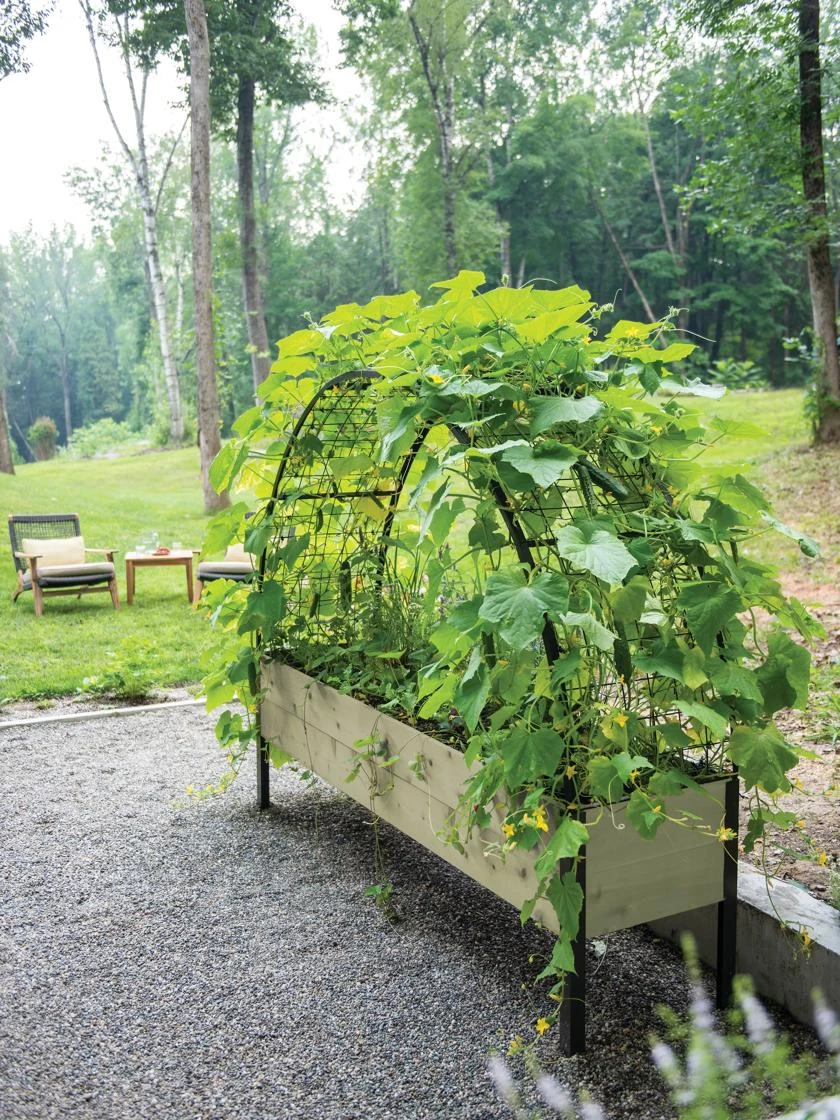 Self-Watering Elevated Planter Box, 2' X 8' - Image 11