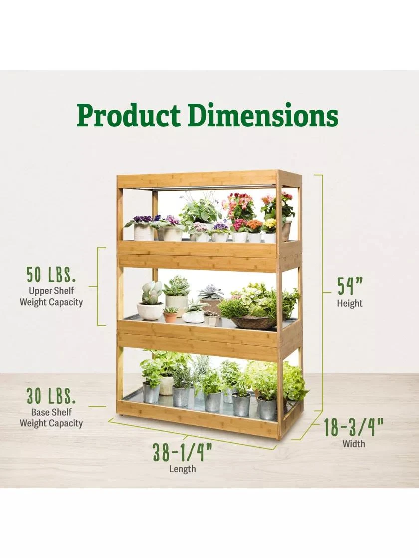 Bamboo LED Grow Light Garden For Succulents And Seeds - Image 2