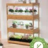 Bamboo LED Grow Light Garden For Succulents And Seeds