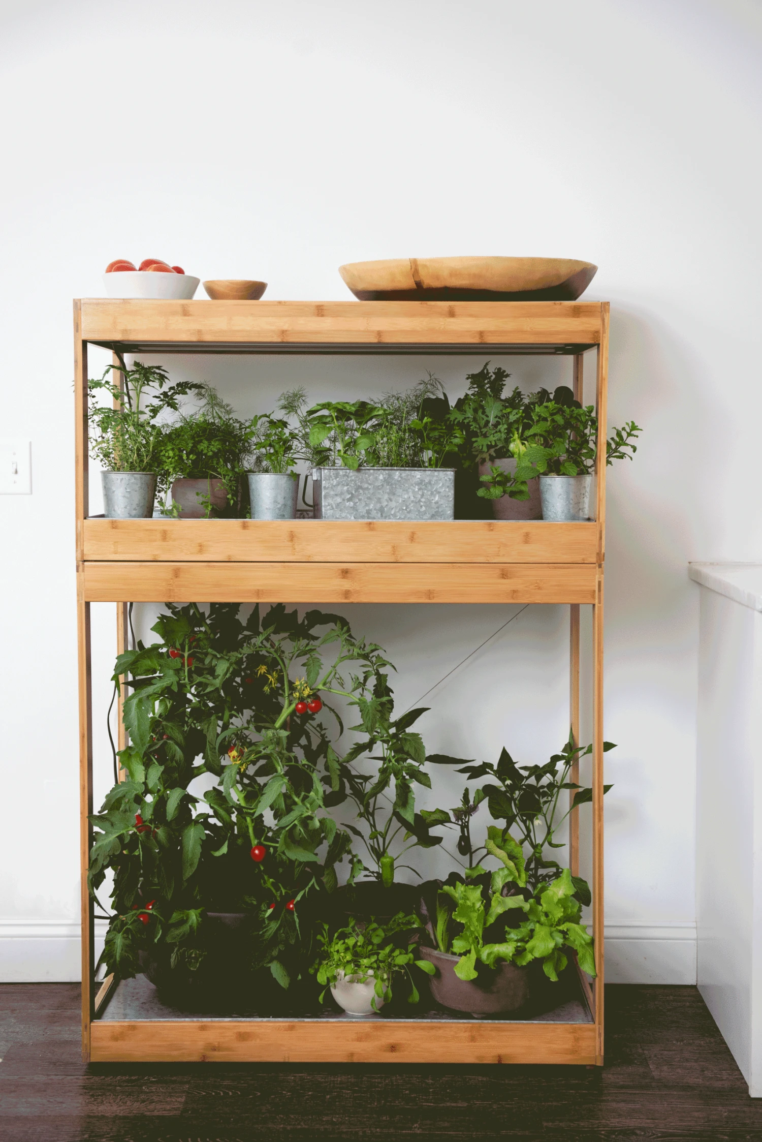 Bamboo Home LED Grow Light Garden - Image 5