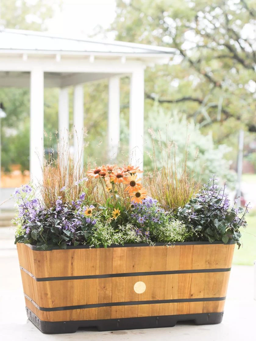 VegTrug⢠Trough Planters - Image 5