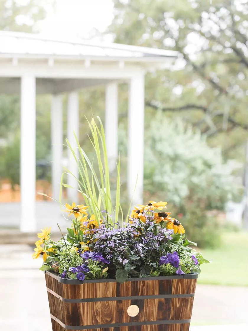 VegTrug⢠Trough Planters - Image 2