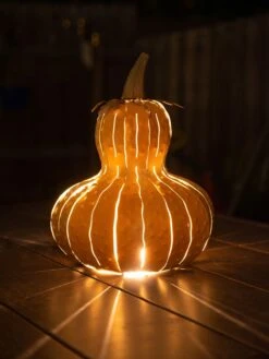 Desert Steel Gourd Luminary