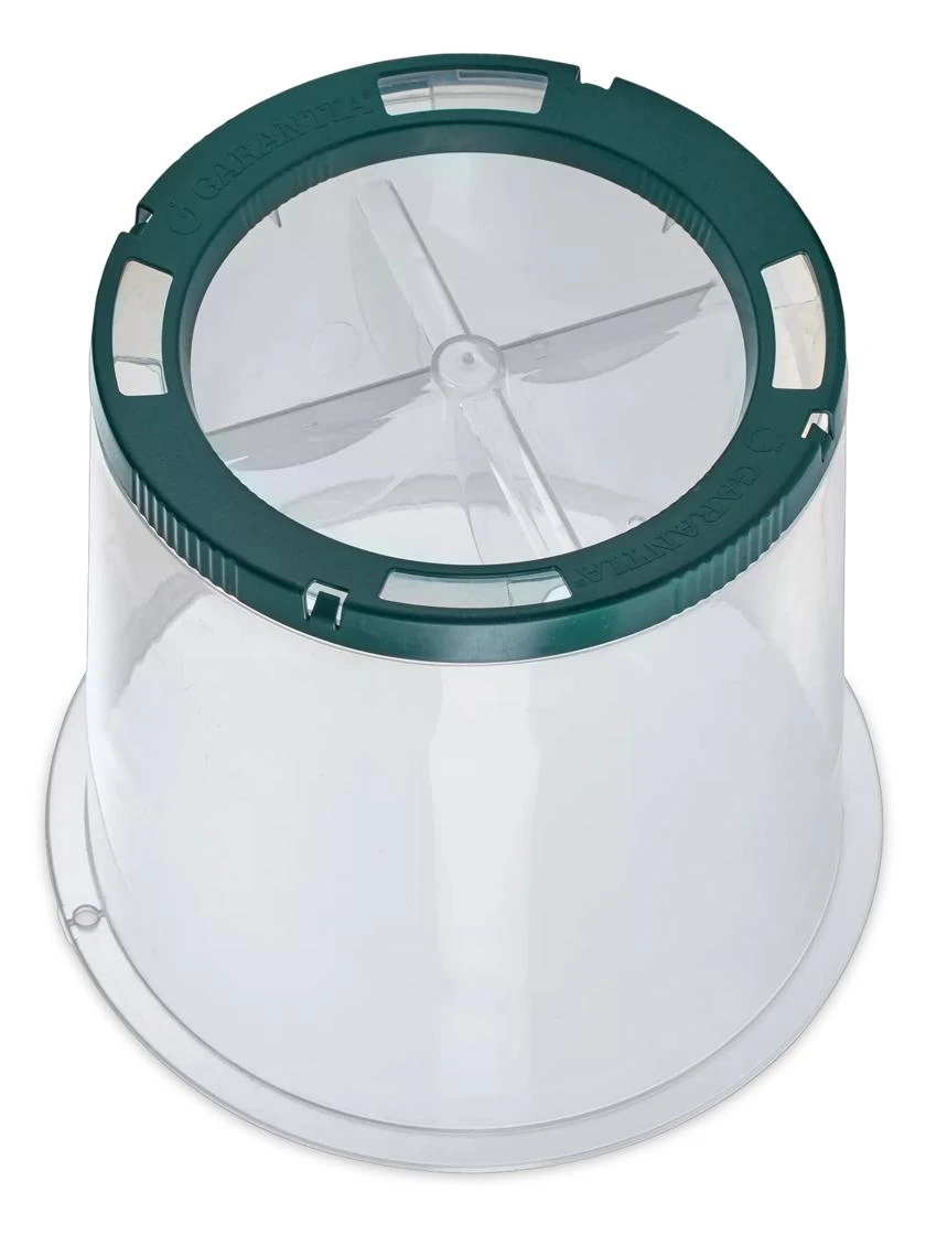 Sunny Forcing Cloches, Set Of 3 - Image 2