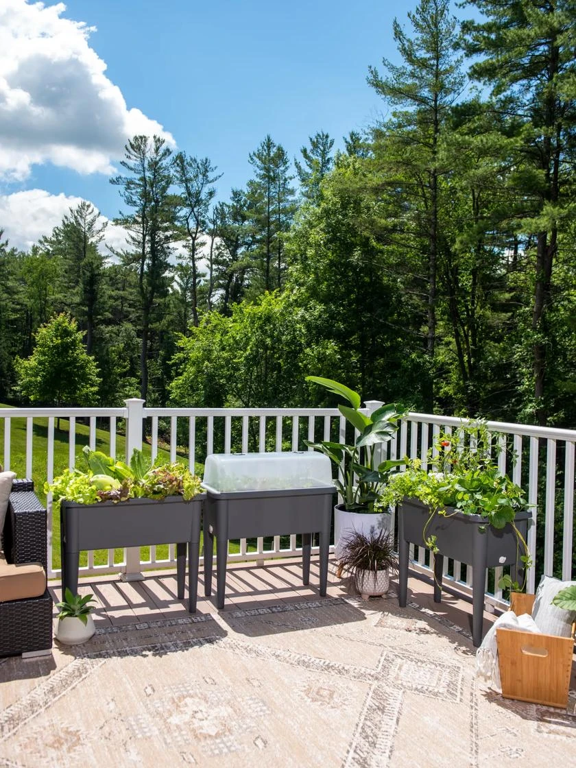 Self-Watering Standing Salad Planter With Cloche - Image 5