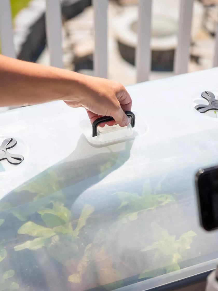 Self-Watering Standing Salad Planter With Cloche - Image 4