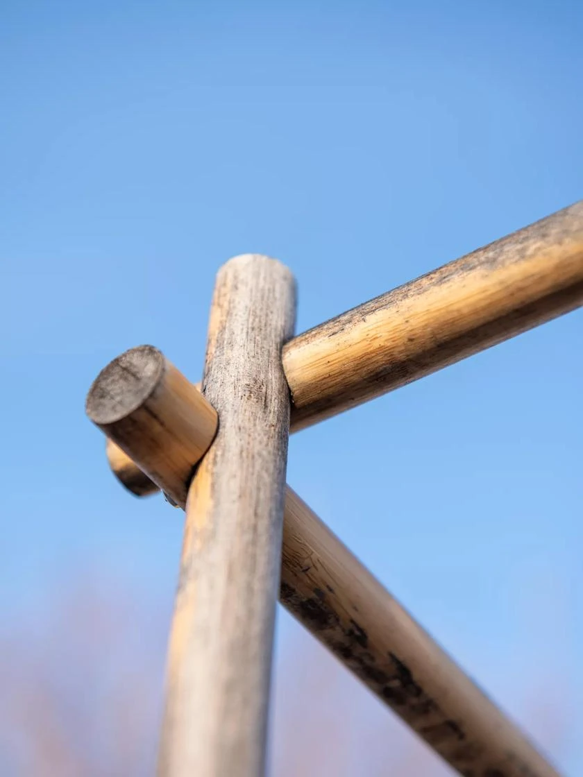 Tomato Six Pack Support - Image 8