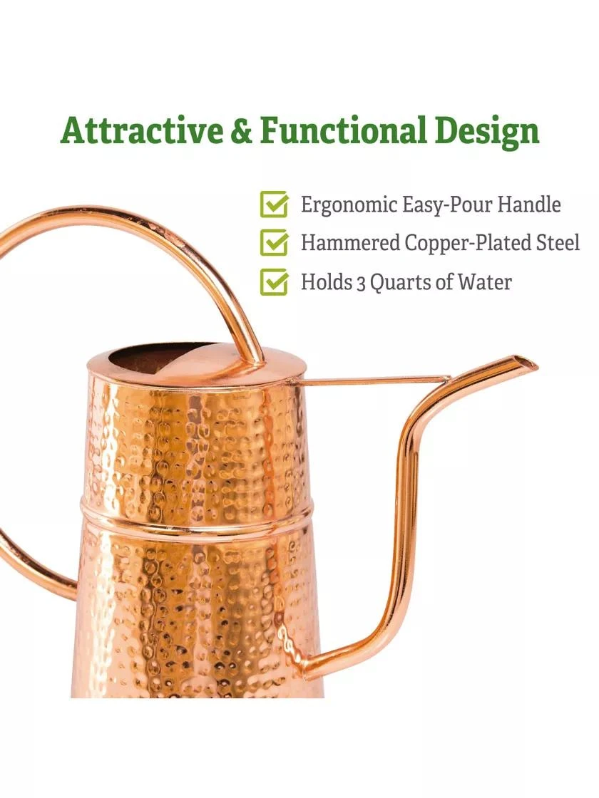 Copper Indoor Watering Can - Image 4