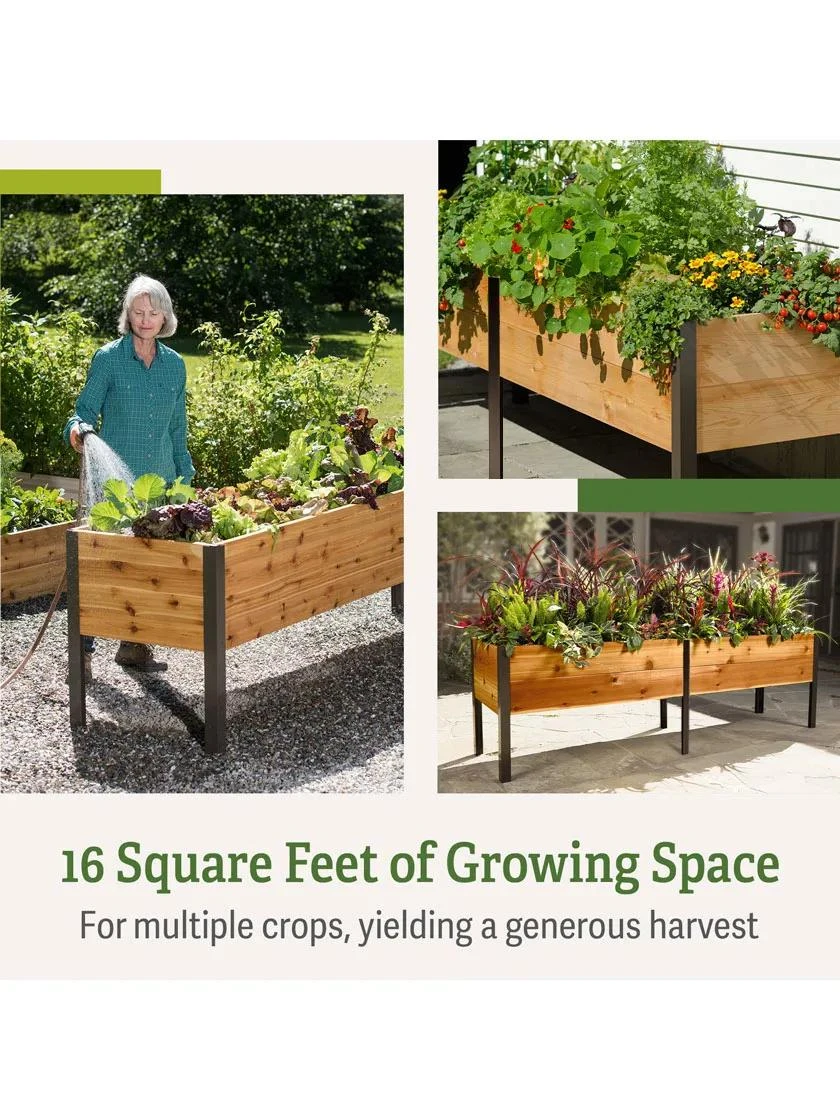 Self-Watering Elevated Planter Box, 2' X 8' - Image 3
